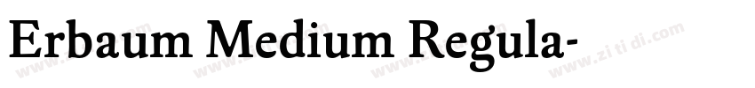 Erbaum Medium Regula字体转换